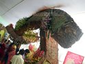 flower-show-2012 (28)